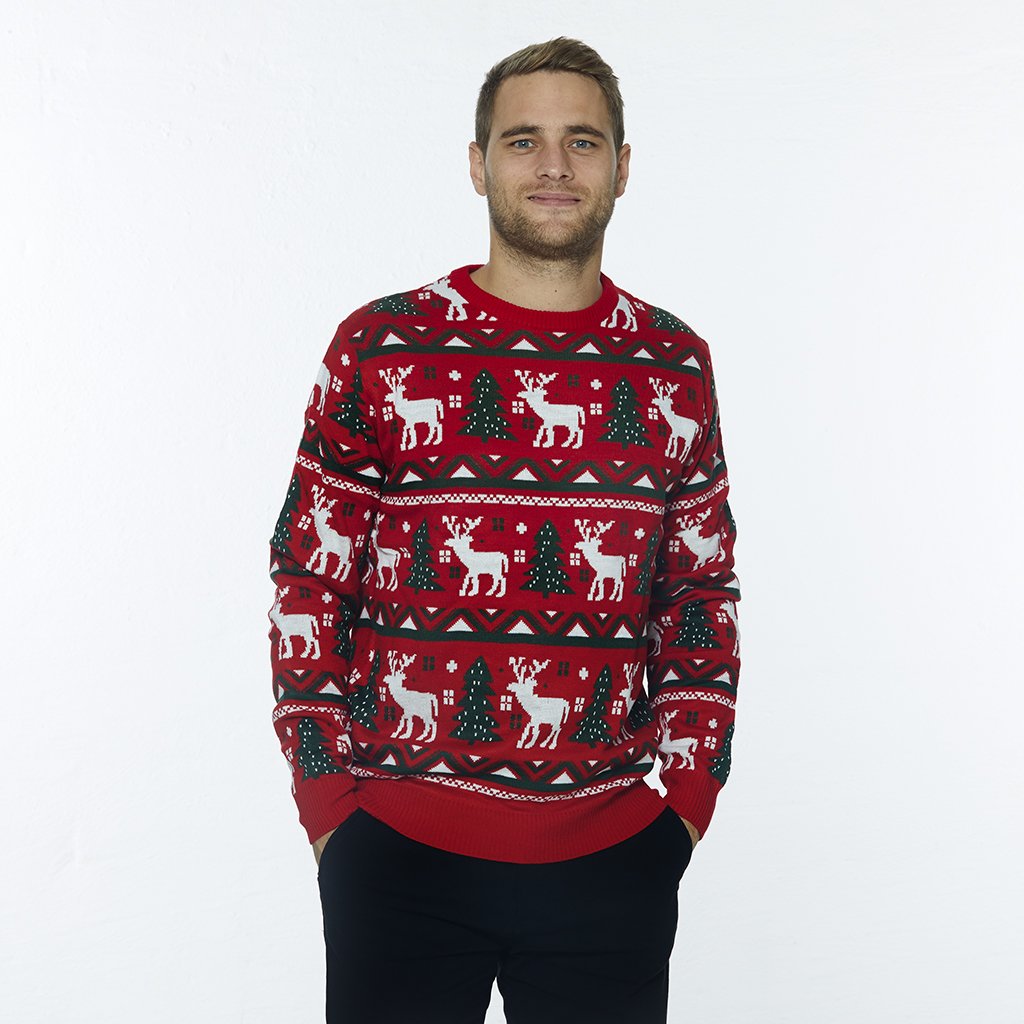 Le Pull De Noël Pour Le Déjeuner De Noël - Homme